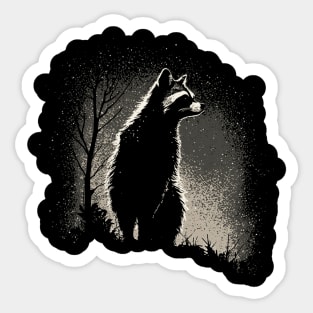 Raccoon at night Sticker